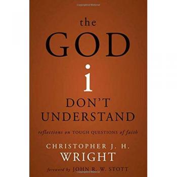 The God I Don't Understand : Reflections on Tough Questions of Faith