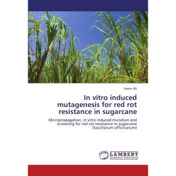 In vitro induced mutagenesis for red rot resistance in sugarcane: Micropropagation, in vitro induced mutation and screening for red rot resistance in sugarcane