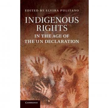 Indigenous Rights in the Age of the Un Declaration. Edited by Elvira Pulitano