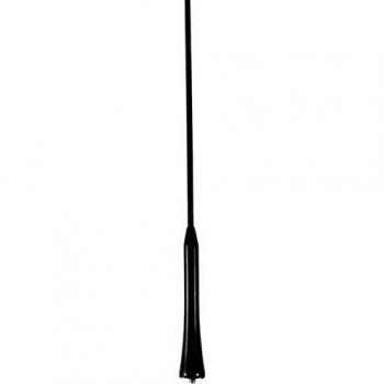 CARPOINT Antenne für Fahrzeuge 2010056