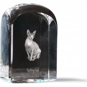 Cristal Cubo Fotográfico de Felino
