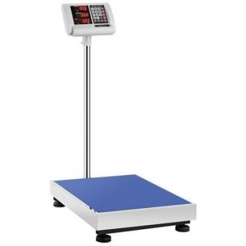300 kg Capacity Platform Scale 50 g Accuracy 60 x 45 cm