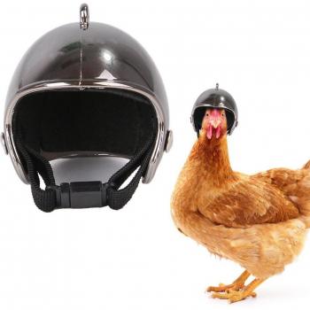 Pollo Protector de Coche Eléctrico