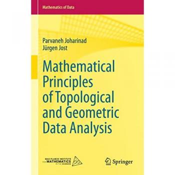 Mathematical Principles of Topological and Geometric Data Analysis
