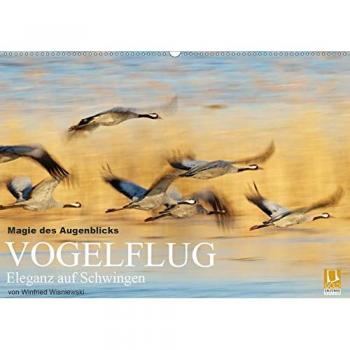 Magie des Augenblicks