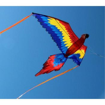 Tear-Resistant Parrot Kite