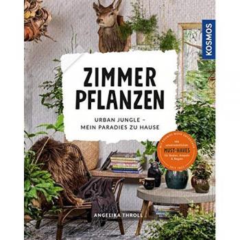 Zimmerpflanzen: Urban Jungle