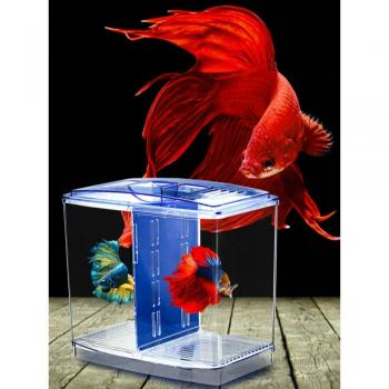 Ornamental Fish Incubation Box