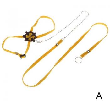 Gerbil and Lizard Collar with Leash A4T3