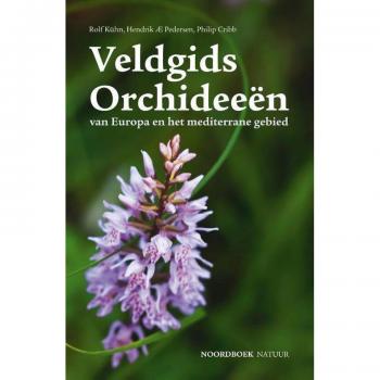 Veldgids OrchideeÃ«n