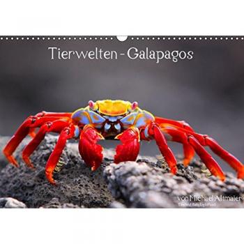 Tierwelten