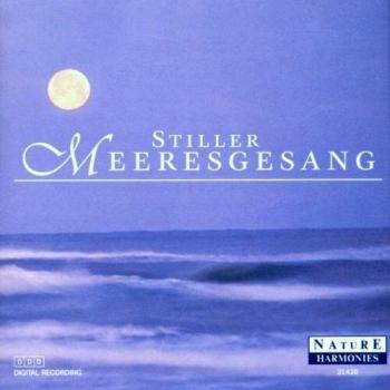 Meeresrauschen der Ruhe