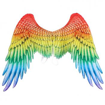 LGBT Angelic Parade – Costume Grand Taille