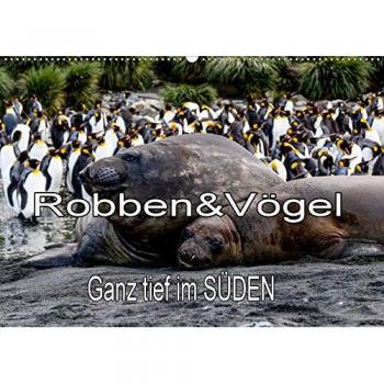 Robben & Vögel