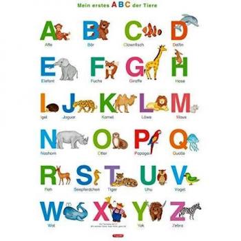 Fragenbär-Lernposter: Mein erstes ABC der Tiere, M 50 x 70 cm: Gerollt, matt folienbeschichtet, abwischbar (Lerne mehr mit Fragenbär)