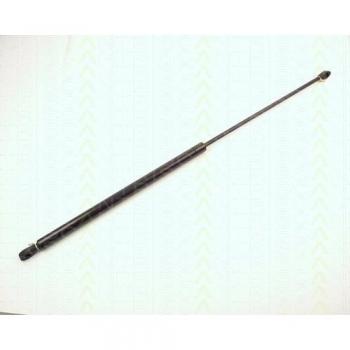 Ammortizzatore pneumatico Triscan 8710 2004