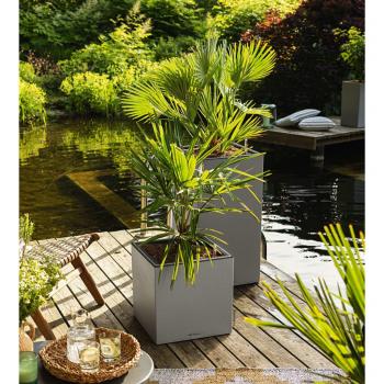 Jardinière LED Canto Stone 40 cm (LECHUZA) – Design All‑in‑One