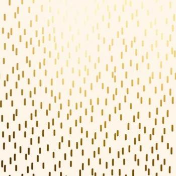 Premium Wikkelrol 100mx50cm Crème met Goud