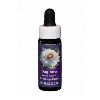 Saguaro 7,4ml vitello