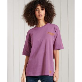 Camiseta Superdry Manga Corta Gráfica