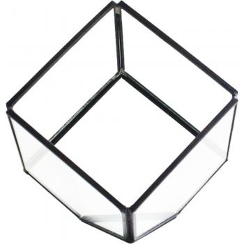 Stylish Geometric Glass Terrarium