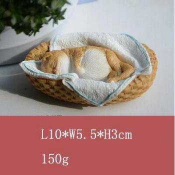 Lustige Katzen-Deko für Zuhause