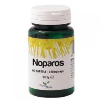 GASTRACTIC PLUS 40CPR PHYTOIT