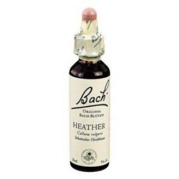 Bachblüten Heather Tropfen (20 ml)