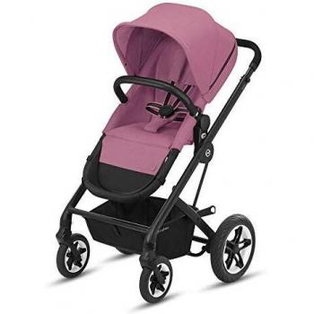 Rosa Magnolia 2in1 di Talos