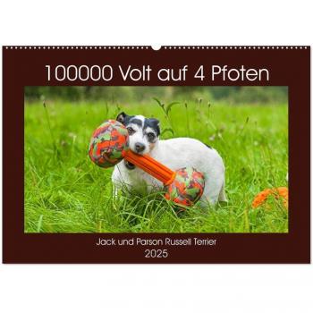 100000 Volt auf vier Pfoten