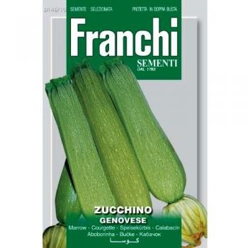 Confezione da 10 di semi di Zucchino Genovese Fraschetti