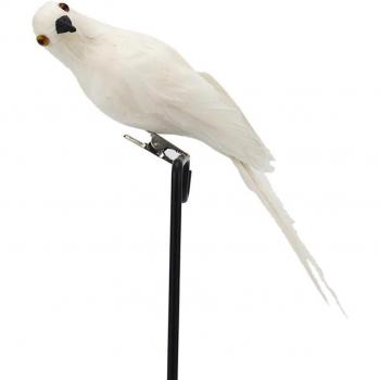 Large Decorative Macaw Bird