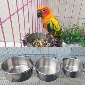 Bird Water and Food Cups