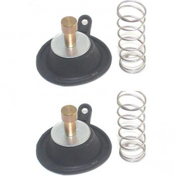 Vanne de coupure diaphragmatique VIRAGO XV535