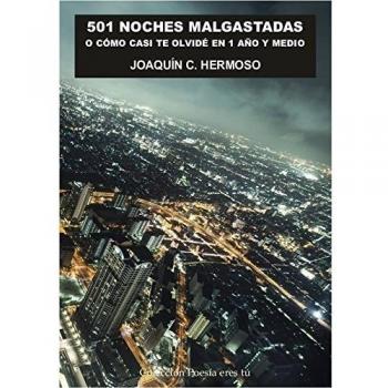 501 NOCHES MALGASTADAS O COMO CASI OLVIDO 1 AÑO Y MEDIO