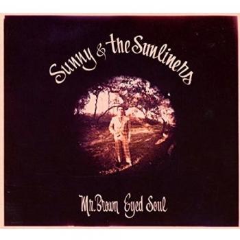 Mr.Brown Eyed Soul