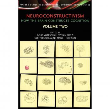 Neuroconstructivism