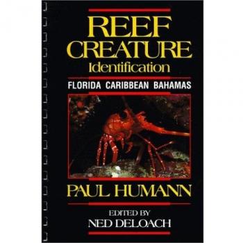 Reef Creature Identification: Florida, Caribbean, Bahamas