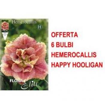Set di 6 Bulbi Happy Hooligan Hemerocallis