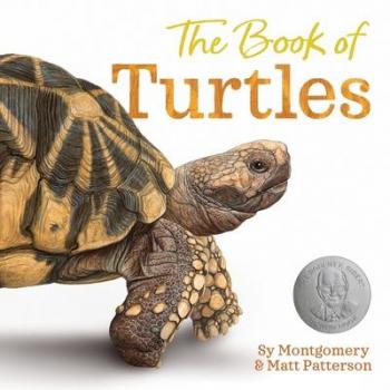 The Book of Turtles (Hardcover)