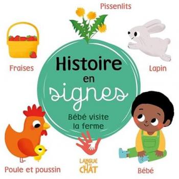 Histoire en signes