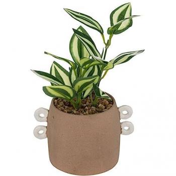 Pianta artificiale in vaso di ceramica Olme h21cm marrone cannella