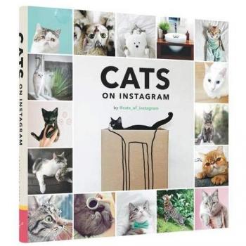 Cats of Instagram