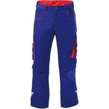 Fortis
