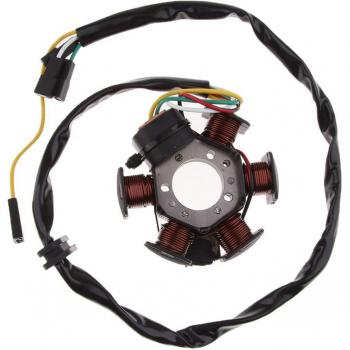 Motorrad Generator Stator Platte für Aprilia RS50 und RX50/MX50 – 3,15 Zoll Durchmesser (Neues Teil)