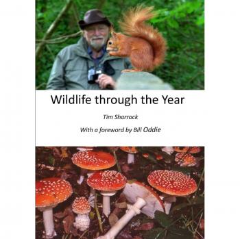 Wildlife through the Year