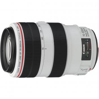 Canon EF 70-300mm 1:4-5.6 L IS USM