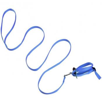 Adjustable Rat Harness and Leash Set