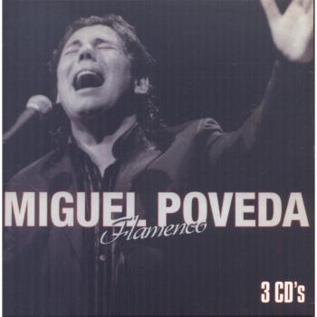 Flamenco: Suena Flamenco
