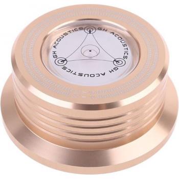 3-in-1 Turntable Stabilizer with Metal Clamp